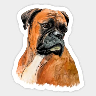 boxer portrait Sticker